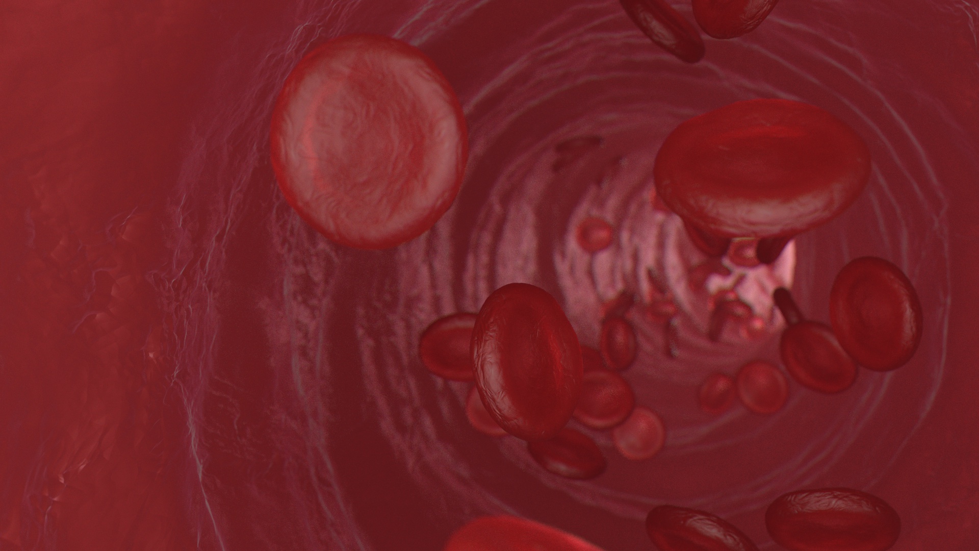Red blood cells flowing through a vessel in shallow focus